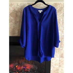 Faith & Joy Blue Blouse (1X)